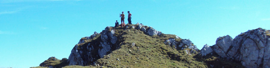 Wandern in den Alpen